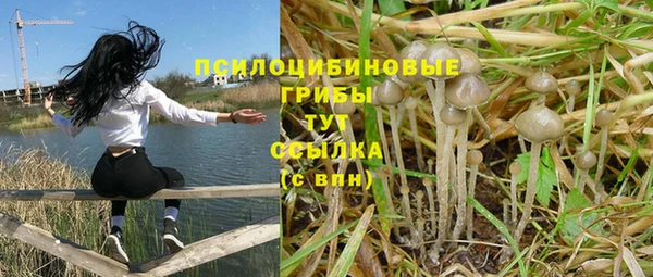 гидра Балахна