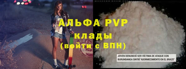 дживик Баксан